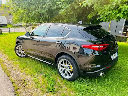 Alfa Romeo Stelvio 2.0 t First Edition Q4 Anno 2017 Km 120000, cambio automatico - Foto 3