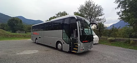 MAN LION'S COACH 2010