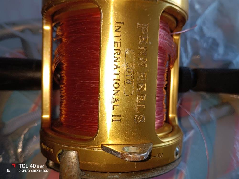 Mulinello Penn Reels 50 TW International II