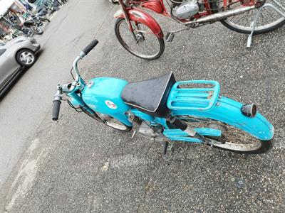 BIANCHI FALCO