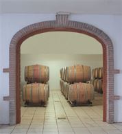 Foto 4 Vita a Capalbio - Vigna - Ulivi - Seminativi