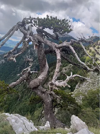 Le meraviglie del Sud Italia