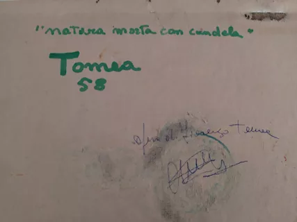 Tomea Fiorenzo - Foto 6