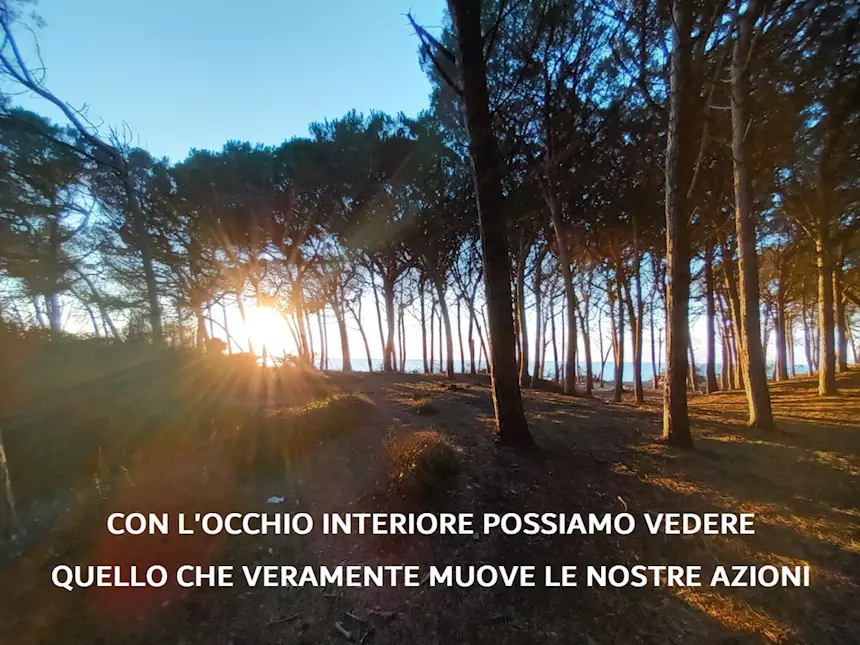 CORSO DI MEDITAZIONE MINDFULNESS M.B.S.R - Foto 6
