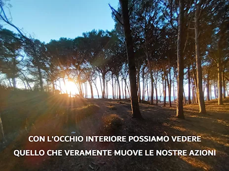 CORSO DI MEDITAZIONE MINDFULNESS M.B.S.R - Foto 6