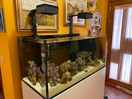 Acquario marino Redsea 425xl - Foto 6