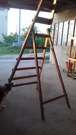 Vecchie scale in legno - Anteprima 5