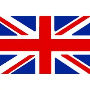 Accurate lezioni di lingua inglese