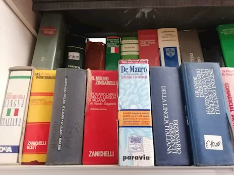 Dizionari usati vari – 24155