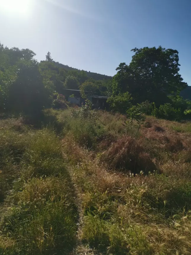 Pozzuoli adiac. via Campana Terreno di 38.000mq - Foto 9