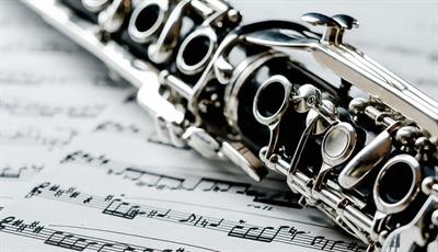 Lezioni di Clarinetto/Clarinetto Basso/Piano/Teoria Musicale - Foto 2