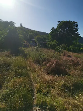 Foto - 9