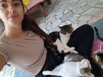 Cat sitter certificata - Foto 2