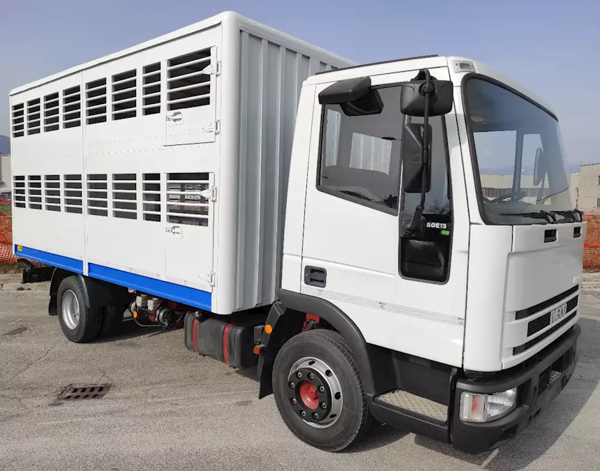 IVECO 75E15 Trasporto Animali Vivi e Bestiame Anno 1998, in ottime condizioni