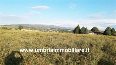 Terreno edificabile a Todi