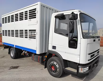 IVECO 75E15 Trasporto Animali Vivi e Bestiame