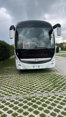 Iveco Magelys