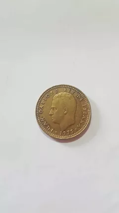 Foto - 8