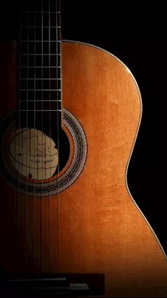 Lezioni di chitarra (principianti/esperti) classic/jazz/rock