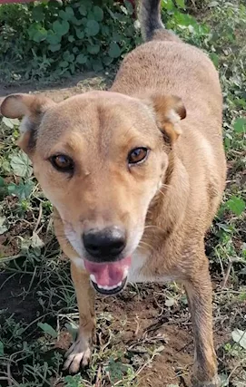 Bruno 5/6 anni volevano ucciderlo... NAPOLI