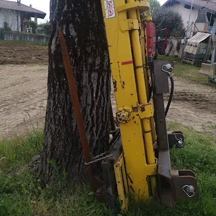 Vendita di Muletto