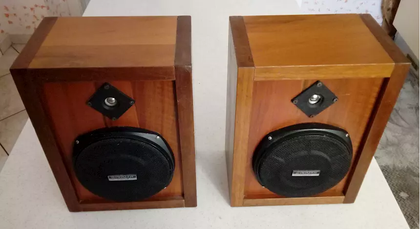 Coppia di casse acustiche in legno noce italiana. Suonano perfettamente