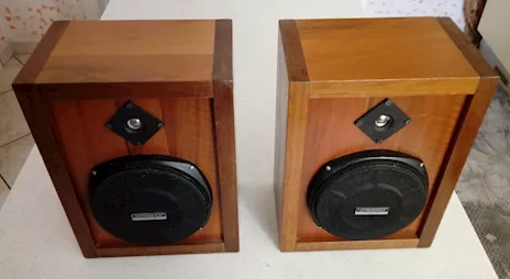 Coppia di casse acustiche in legno noce italiana. Suonano perfettamente