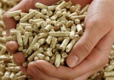 Pellet in sacchetti da 15 kg