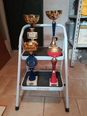 Coppe per Premiazione