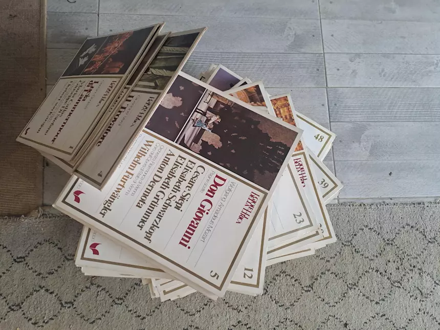 Foto - 9