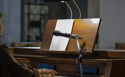 Organista Erba