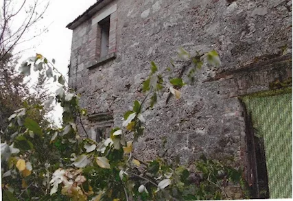 Casa nel bosco