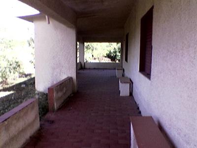 Immobile di campagna da ristrutturare con 4.000 mq di terren - Foto 2