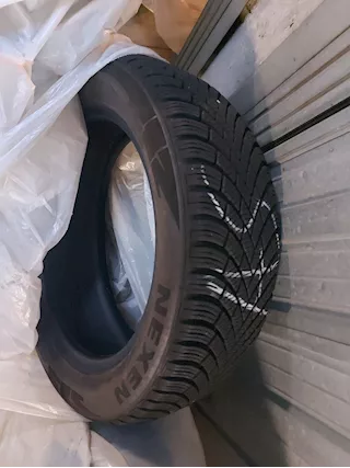 Gomme invernali Nexen