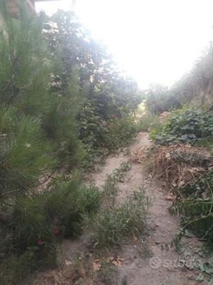 2.000 di terreno più due stabili