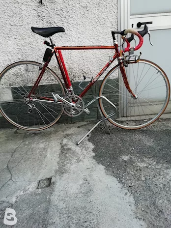 Bici Willer Triestina