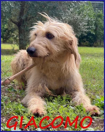 Giacomo ha vissuto l'inferno ma ora è pronto