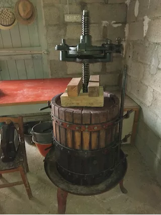 torchio buone condizioni cm50