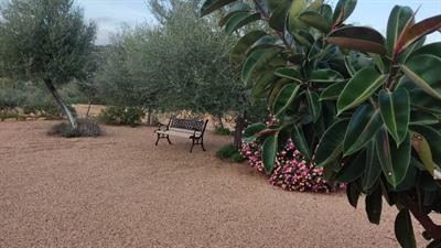 Sardegna Porto San Paolo 1500 mq terreno agricolo - Foto 2