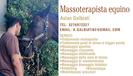Massoterapista equino