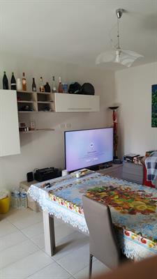 Foto - 11