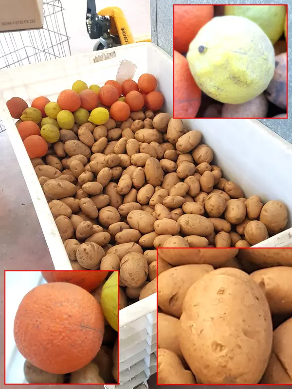 Patate in plastica per taratura macchinari usate