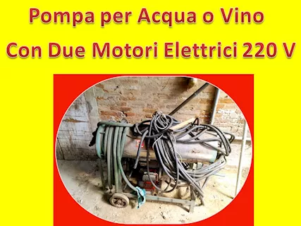 Pompa per acqua e vino con 2 motori