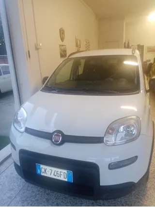 Panda hybrid