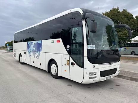 Man Lion's Coach
