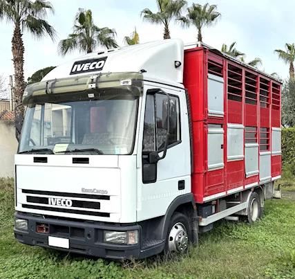 Iveco Eurocargo 75e14 trasporto animali mt 4,30
