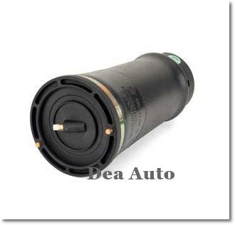 Soffione soffietto Land Rover Discovery rkb101200 ARNOTT - Foto 2