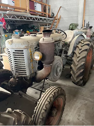 Landini testa calda
