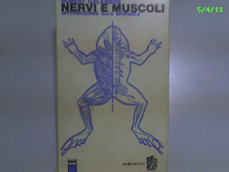 Nervi e Muscoli - Introduzione alla Biofisica
