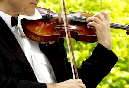Violinista Melegnano
